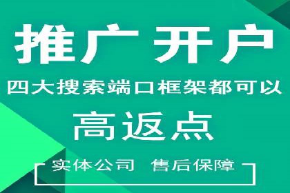推广竞价策略优化：借鉴成功案例实现高效转化